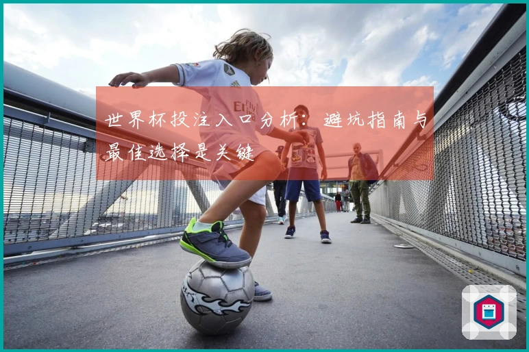 世界杯投注入口分析：避坑指南与最佳选择是关键