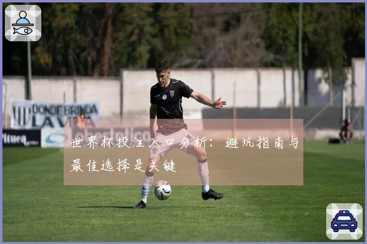 世界杯投注入口分析:避坑指南与最佳选择是关键