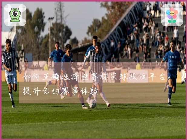 如何正确选择世界杯买球投注平台提升你的赛事体验