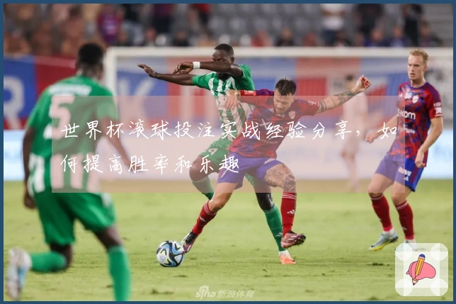 世界杯滚球投注实战经验分享,如何提高胜率和乐趣