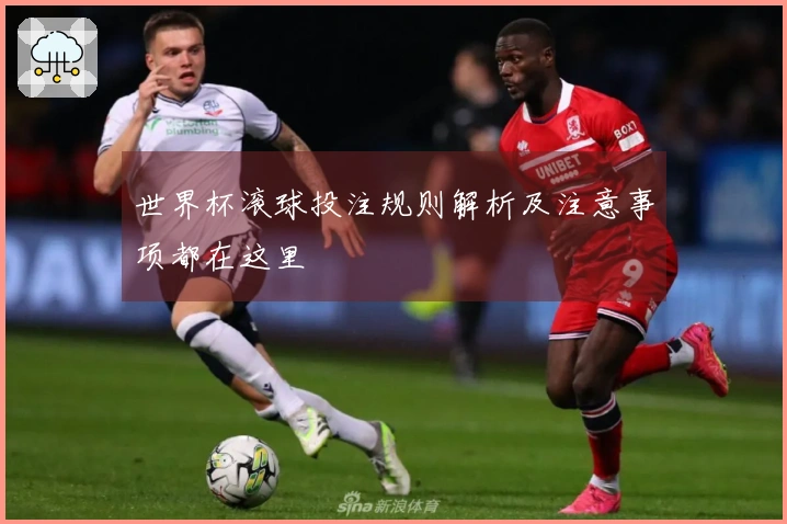 世界杯滚球投注规则解析及注意事项都在这里